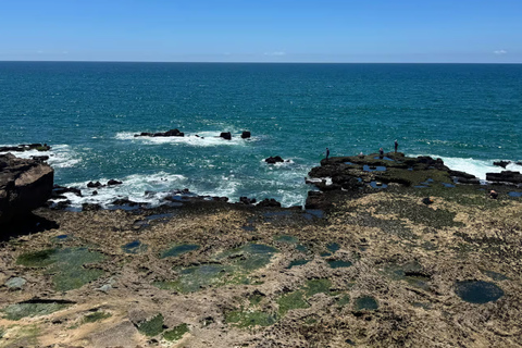 From Marrakech: Essaouira Day Trip with Free Time to Explore From Marrakech: Private Day Trip to Essaouira