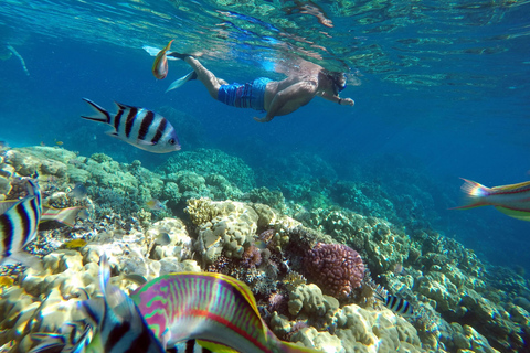 Sharm: Wycieczka morska na Białą Wyspę ze snorkelingiem, nurkowaniem i lunchemWspólna wycieczka z nurkowaniem, snorkelingiem i lunchem