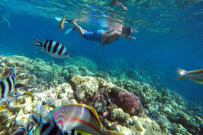 Sharm: Wycieczka morska na Białą Wyspę ze snorkelingiem, nurkowaniem i lunchemWspólna wycieczka z nurkowaniem, snorkelingiem i lunchem