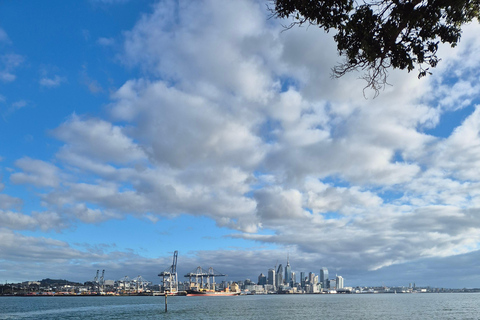 Christchurch Private Scenic Highlights Tour with Local Guide