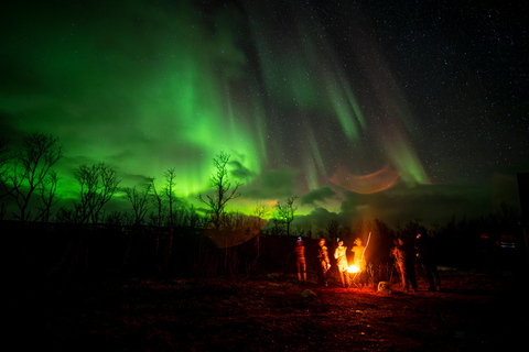 Tromsø: Safari guiado de auroras boreales en minibús Sprinter