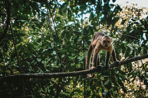 Parc Tayrona et Cabo San Juan