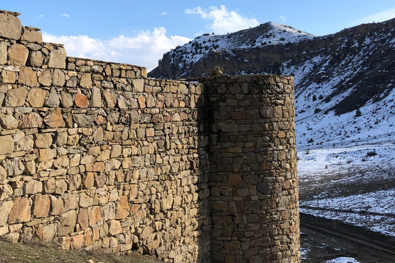 يريفان: جولة في خور فيرب، ووادي الملائكة، ووادي أرارات