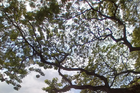 Manila: Fort Santiago Guided Tour