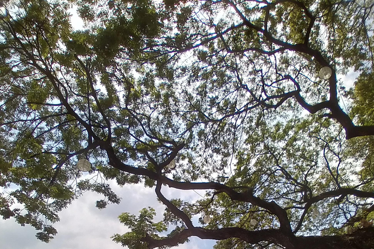 Manila: Fort Santiago Guided Tour