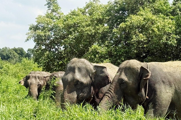 Bangkok: Railway Market, Floating Market & Elephants Tour