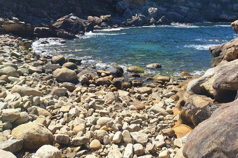 Private Basque Country Tour: Hidden Villages & Local Food 4-Hour Private Basque Country Tour - Short Introduction