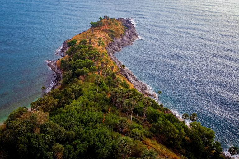 Phuket: Tour di un giorno intero con la città di Phuket, i templi e le scimmie