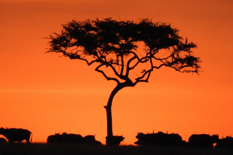 6-Day Majestic Tanzania - High - End