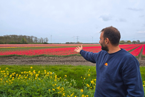 From Amsterdam: Keukenhof Tulips, Windmills & Volendam