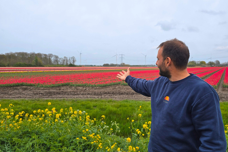 From Amsterdam: Keukenhof Tulips, Windmills & Volendam