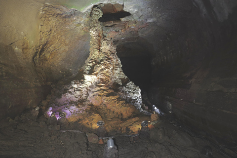 Jeju East: Cherry Blossom Tour & Women Divers Show