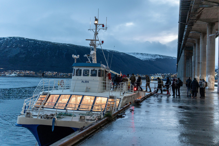 Tromsø: Responsible Whale Watching Cruise Aboard MS Alba