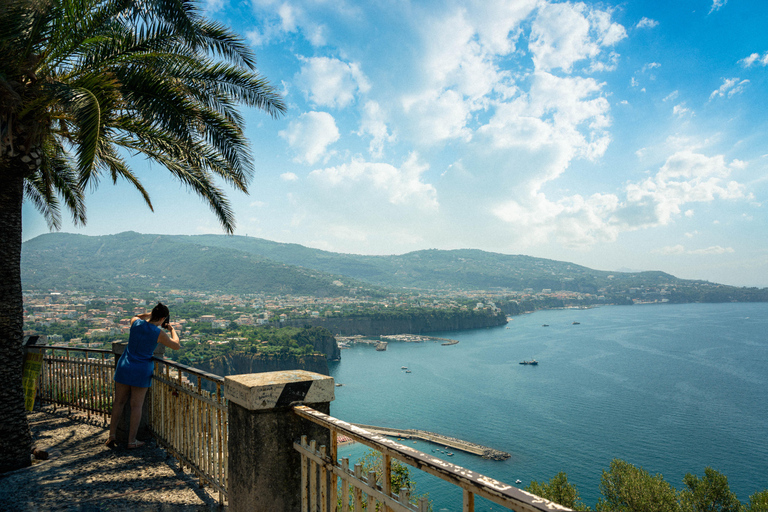 Au départ de Rome : Pompéi avec un archéologue + déjeuner à SorrenteVisite guidée de Pompéi avec déjeuner pizza à Sorrente