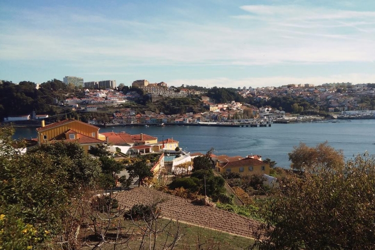 Porto: Geführte Tuk-Tuk Tour auf dem WasserEine romantische Tuk-Tuk-Route am Wasser