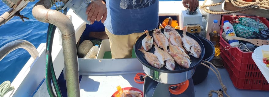 Hydra : journée complète de pêche et de navigation avec déjeuner en option