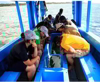 Diani Beach, 2-Hours Glass Bottom Boat cruise - Housity