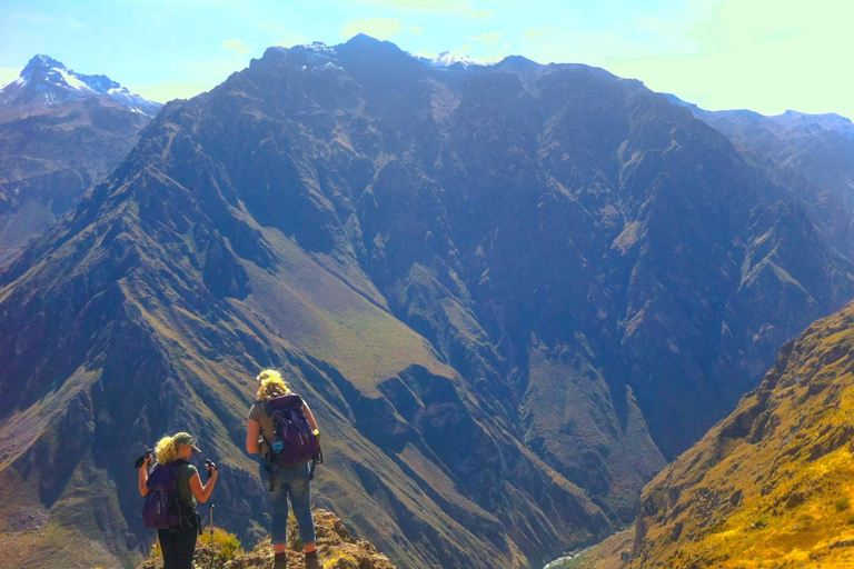 From Arequipa: 2-day Colca hike, meals includedcaminhada