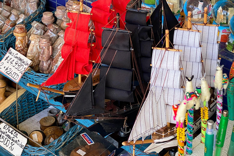 Valparaíso & Viña: Coastal Experience & Kayak