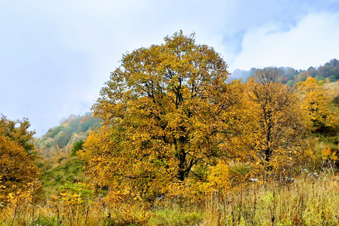 Black Rock Lakes - 3 Day Trekking Tour