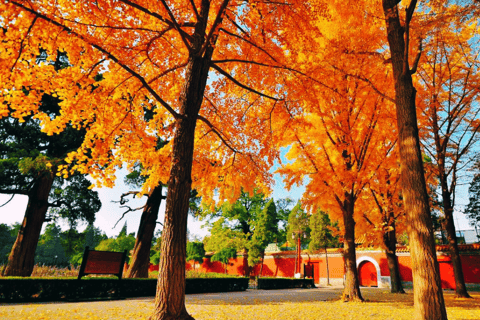 Beijing: Jingshan Park Admission Ticket