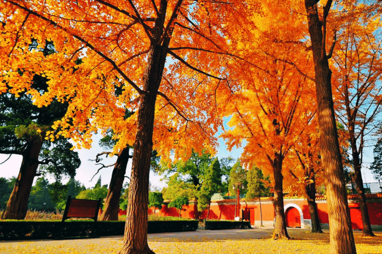 Beijing: Jingshan Park Admission Ticket