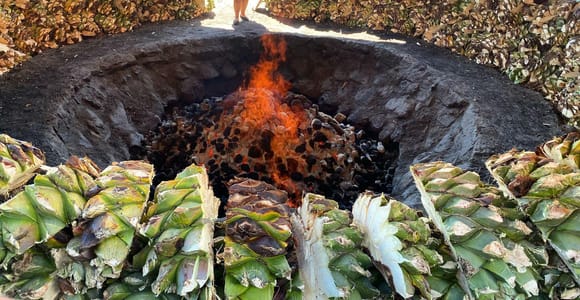 From Oaxaca: Mezcal Tour with Tasting of Up to 13 Mezcals