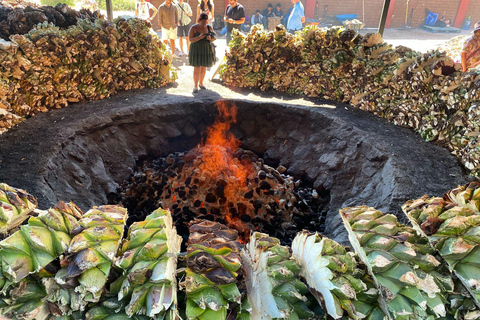 Tournée du mezcal à Oaxaca