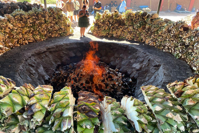 Tour del Mezcal a Oaxaca