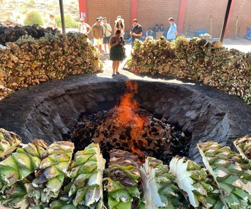 Mezcal Tour Oaxaca