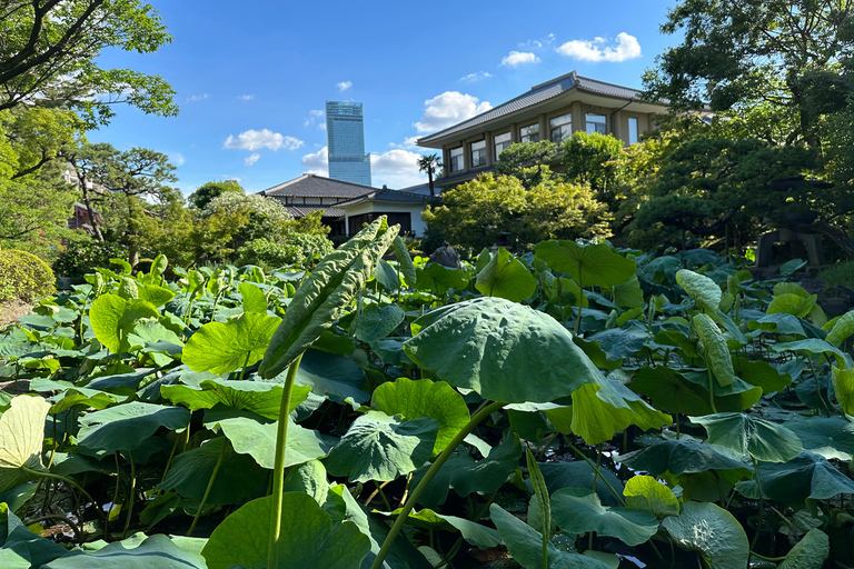 Osaka: Combo Tour of Shitennoji and Isshinji temples, 2.5h