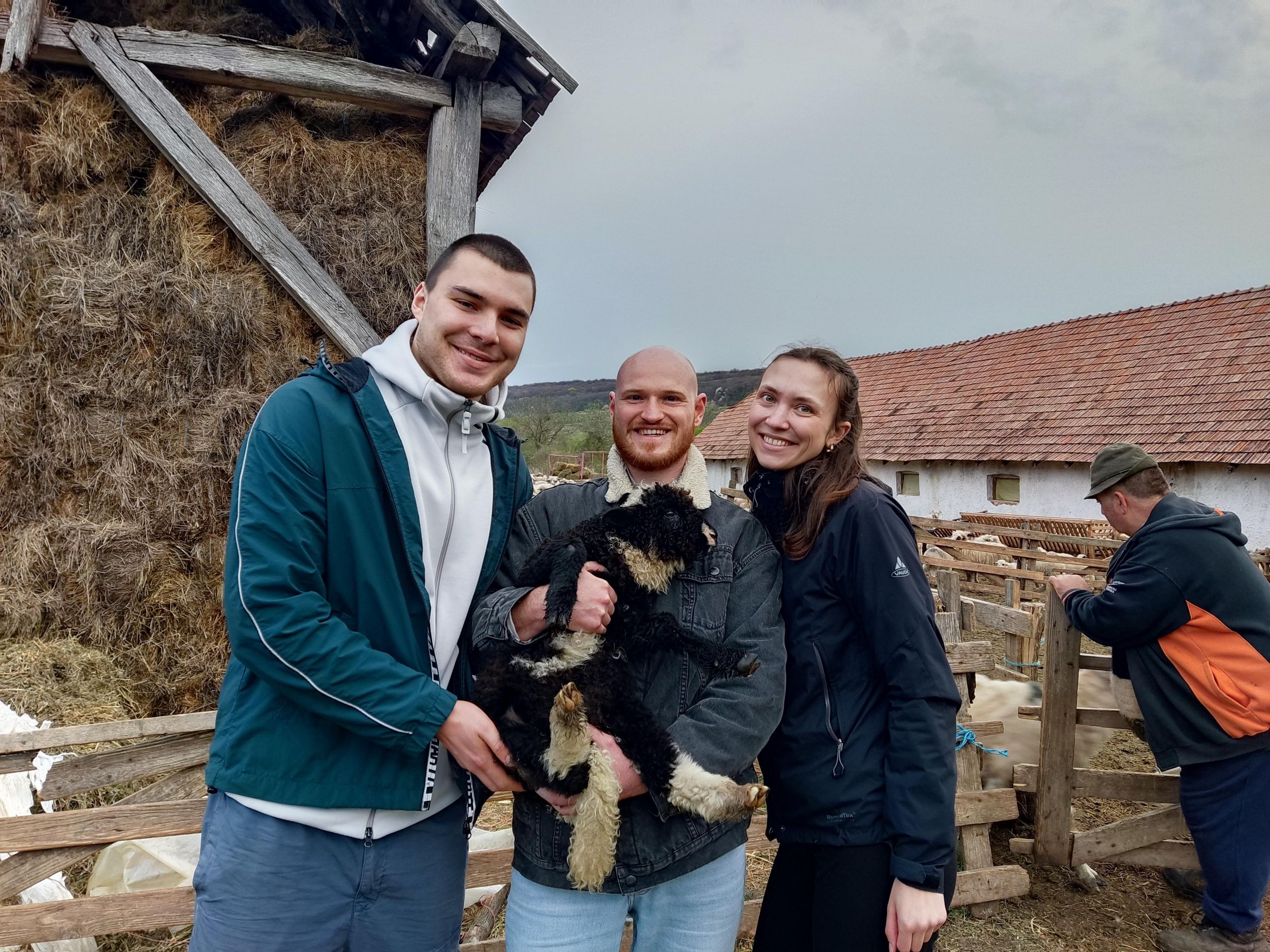 Von Sibiu aus: Dörfer, Bauernhofleben und Kutschfahrt