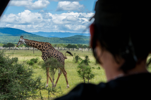 Tanzania: 2-dagars safari till Tarangire och Ngorongoro-kratern