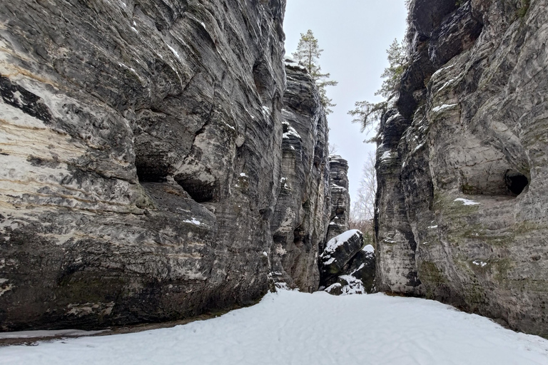 Dresden: Private Tagestour ab Prag mit optionalem Tisa-FelsenDresden: Private Tagestour ab Prag mit ortskundigem Guide