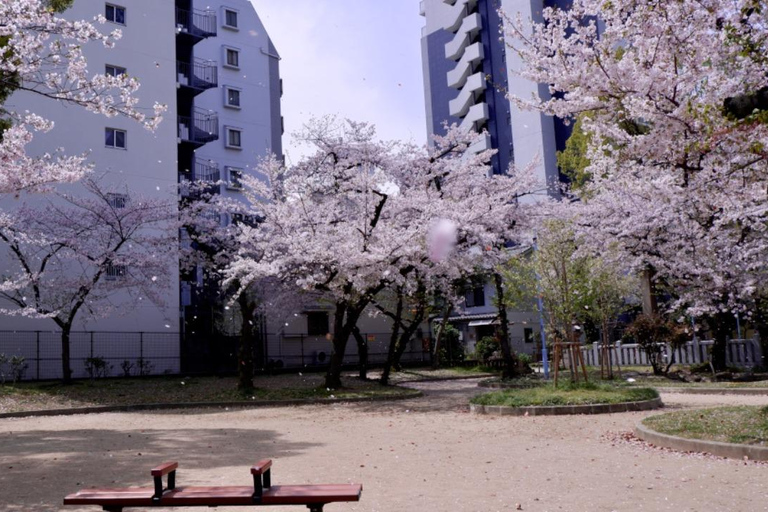 Osaka: Daytime Hanami (Cherry Blossom) and Food Tour