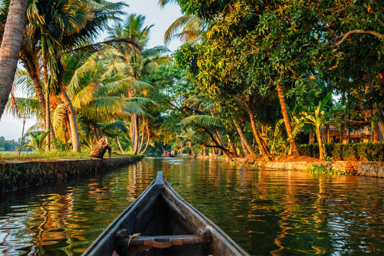 Desde Cochin: 2 Días de Crucero en Barco de Alleppey con Traslados