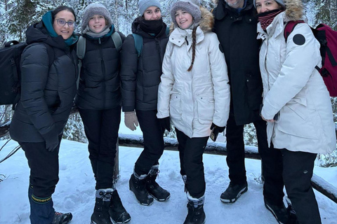 Rovaniemi: Korouoma Frozen Waterfall Hike with BBQ