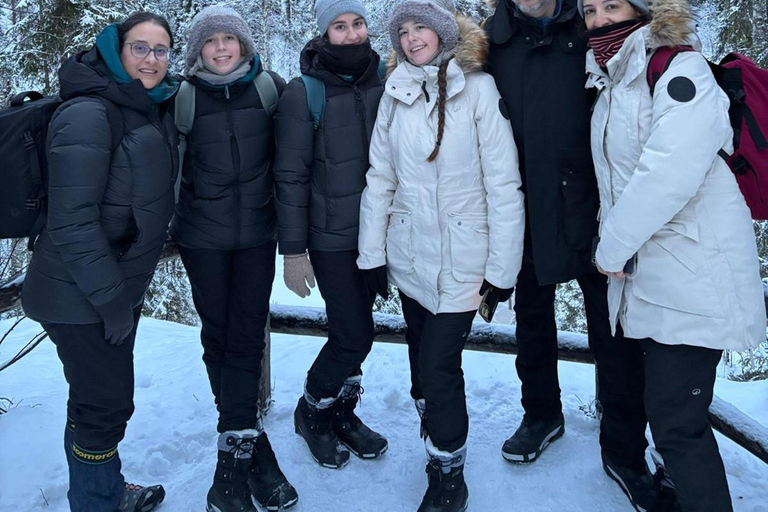 Rovaniemi: Korouoma Frozen Waterfall Hike with BBQ