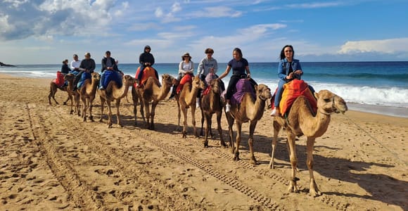 From Tangier: Cap Spartel and Hercules Cave with Camel Ride