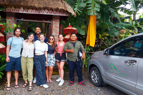 Bali swing ; Rice art Amazing and monkey forest private tour