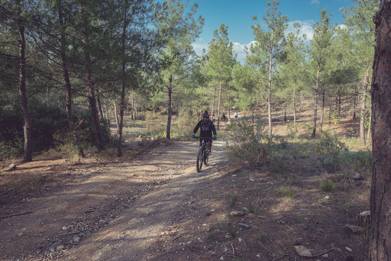 Thessaloniki: E-bike avontuur door de natuur &amp; in de stadE-bike avontuur in Thessaloniki