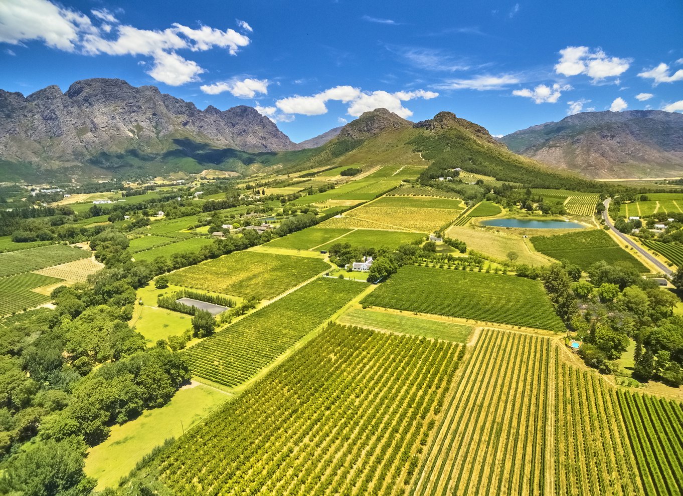 Varmluftsballon og Cape Wine-områder Privat guidet tur