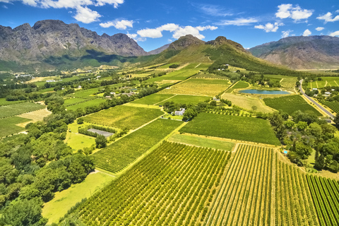 Bola de aire caliente y tierras del Vino del Cabo Tour guiado privadoGlobo aerostático y tierras del Vino del Cabo Visita guiada privada