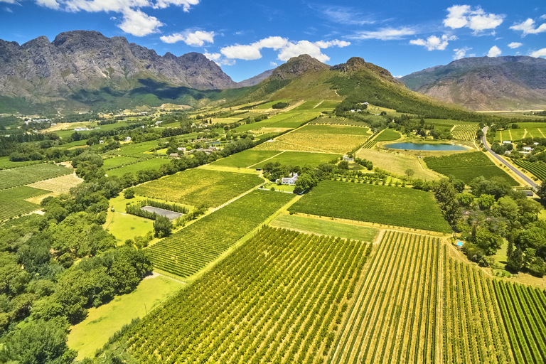 Bola de aire caliente y tierras del Vino del Cabo Tour guiado privadoGlobo aerostático y tierras del Vino del Cabo Visita guiada privada