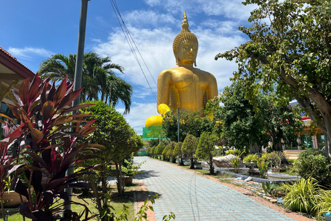 Wat Muang Angthong & Ayutthaya UNESCO Temples Private Tour