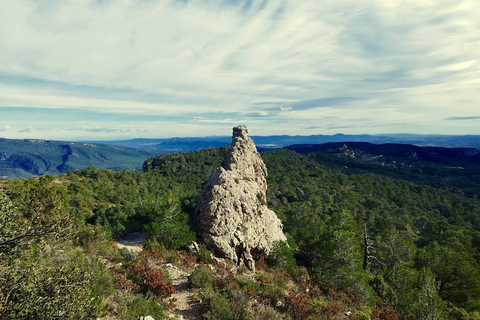Tarragona: Prades Mountains Forest Bathing and Meditation