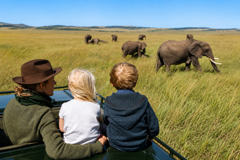 From Arusha: 3-Day Tarangire and Serengeti Safari Adventure