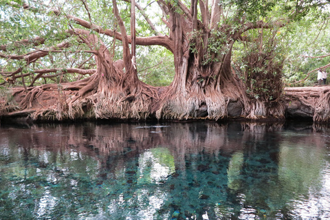 Arusha: Materuni Waterfalls and Chemka Hot Springs