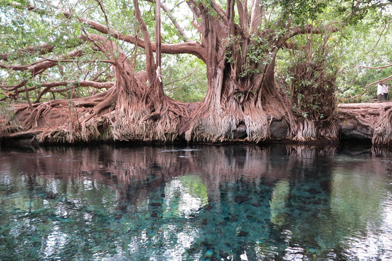 Arusha: Materuni Waterfalls and Chemka Hot Springs