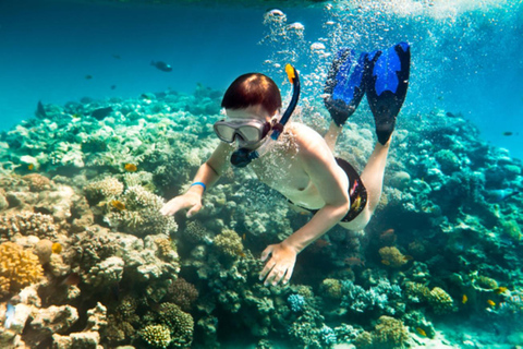 Hoi An: Snorkeling na wyspie Cham i podwodna wycieczka pieszaPodwodna wycieczka piesza na wyspę Cham